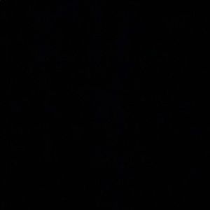 Meet your Posher, Mackenzie